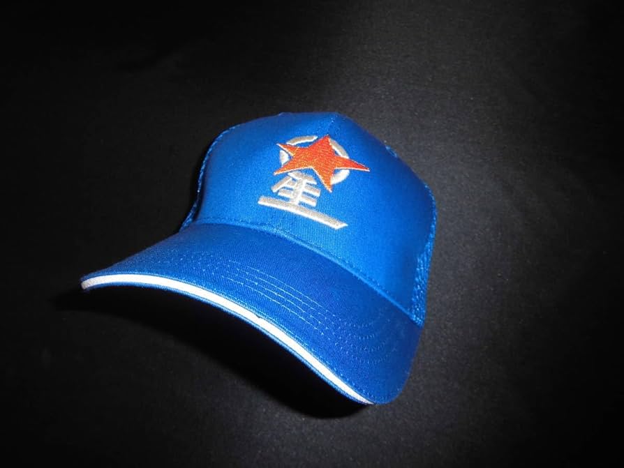 Amazon.co.jp: 星稜高校 応援用帽子 半メッシュ仕様 : おもちゃ